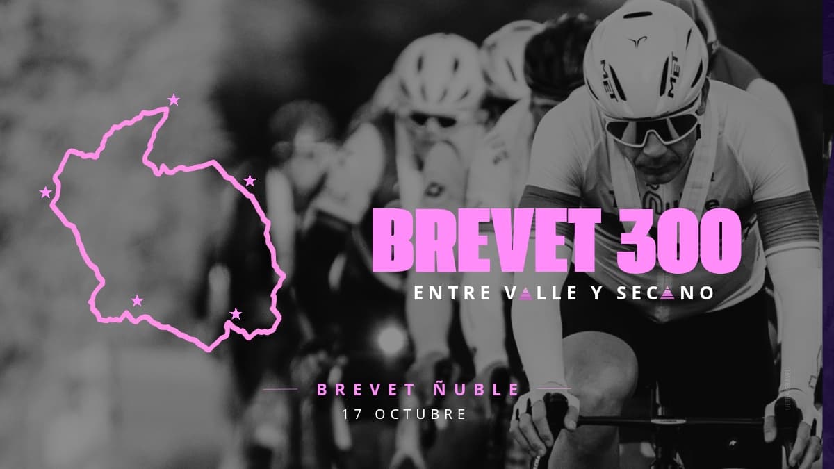 BREVET ÑUBLE 300